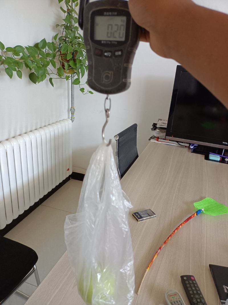 敦煌早酥梨