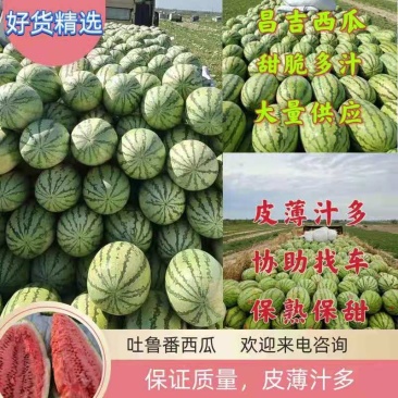 新疆奎屯市金城5号西瓜糖度高、皮毛亮、量大价优，欢迎选购