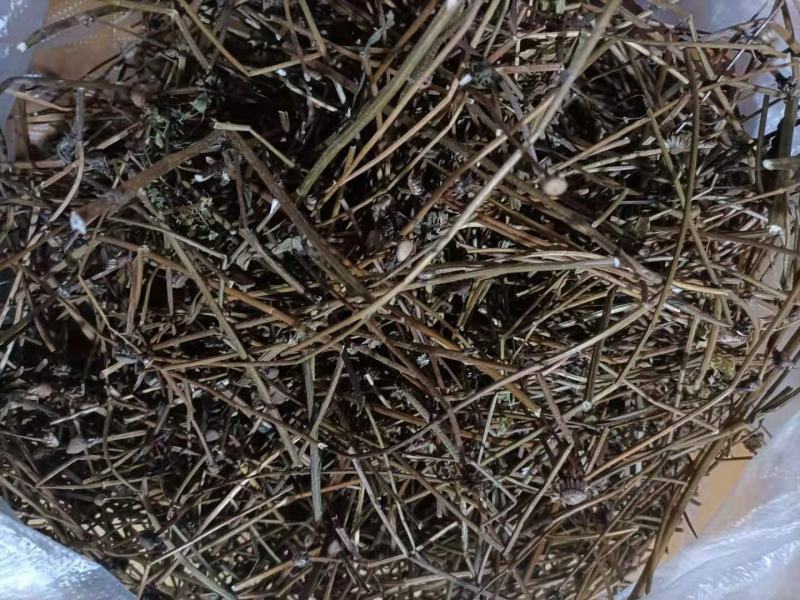 云南家种无硫灯盏花花杆灯盏细辛花杆统货云南特产