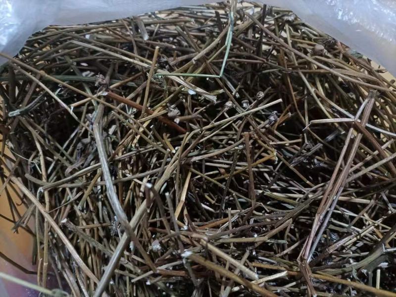 云南家种无硫灯盏花花杆灯盏细辛花杆统货云南特产