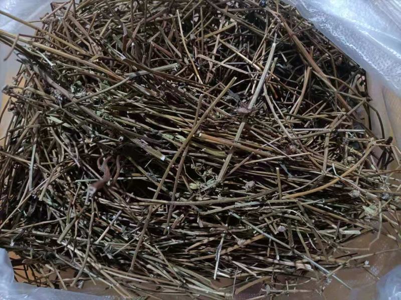 云南家种无硫灯盏花花杆灯盏细辛花杆统货云南特产