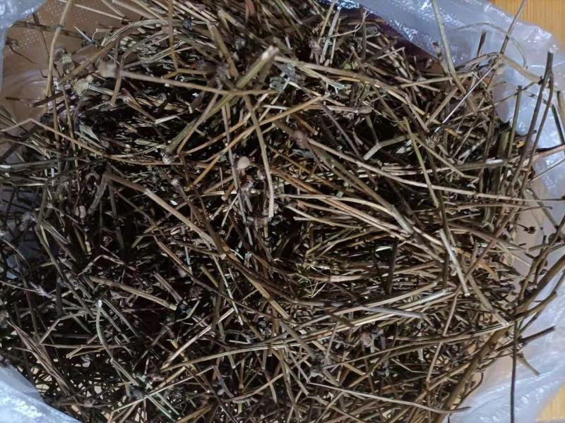 云南家种无硫灯盏花花杆灯盏细辛花杆统货云南特产