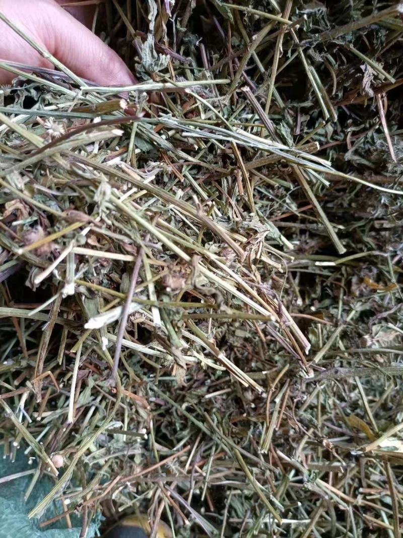 云南家种无硫灯盏花花杆灯盏细辛花杆统货云南特产