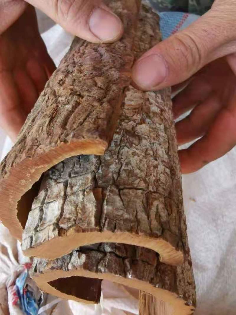 卡宾达树皮正宗卡宾达可打粉各种规格俱全一斤起批