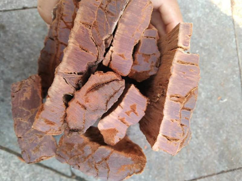 卡宾达树皮正宗卡宾达可打粉各种规格俱全一斤起批