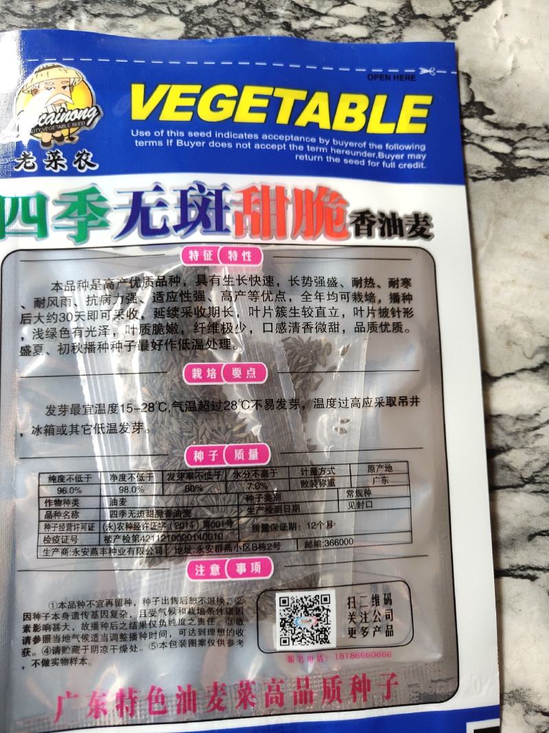 四季无斑甜脆香油麦菜种子，高产快大，香味特浓，耐热耐寒耐