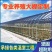 亏本清仓养殖钢架大棚全套五层覆盖全国发货包建