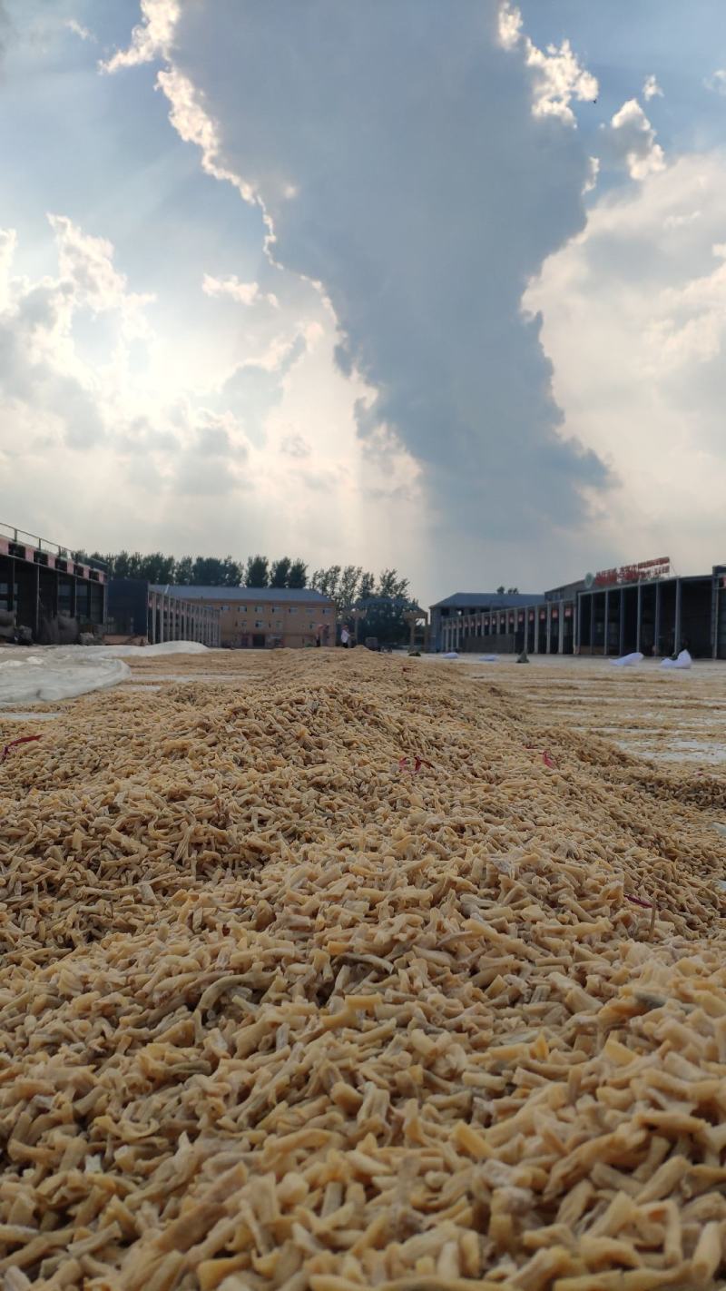 山东卜豆角，豆角加工，卜豆角精品精品颗粒！产地直发质量保证