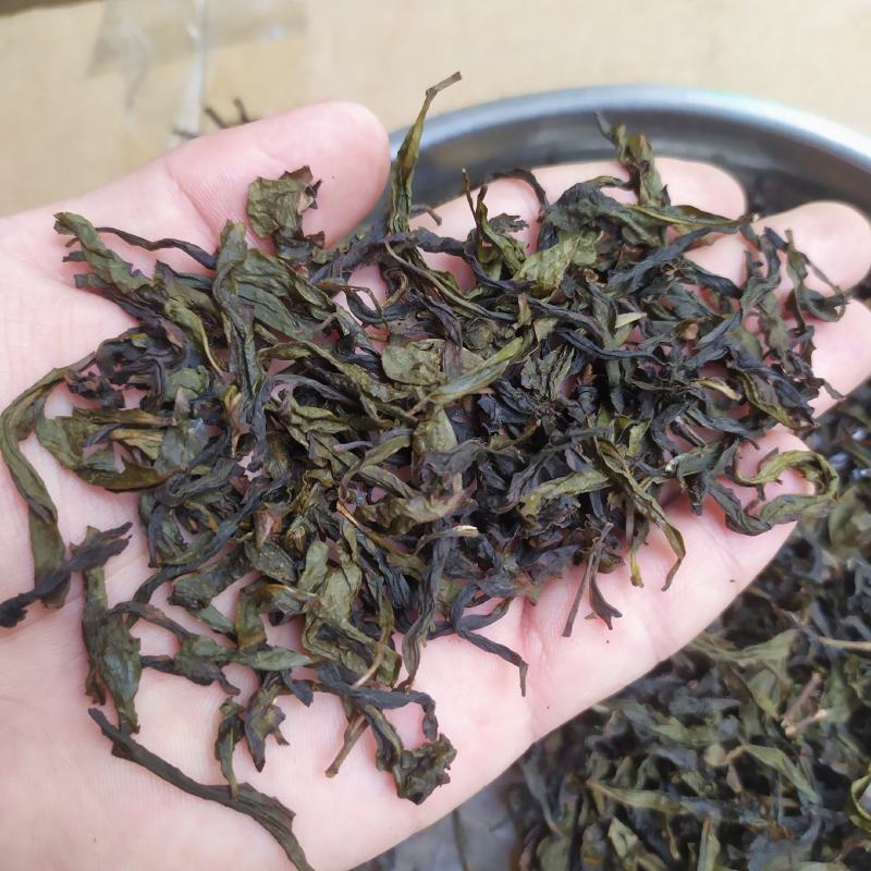 乌龙茶惠来土山茶浓醇香米香高山茶叶潮汕味道土山茶大坪1斤