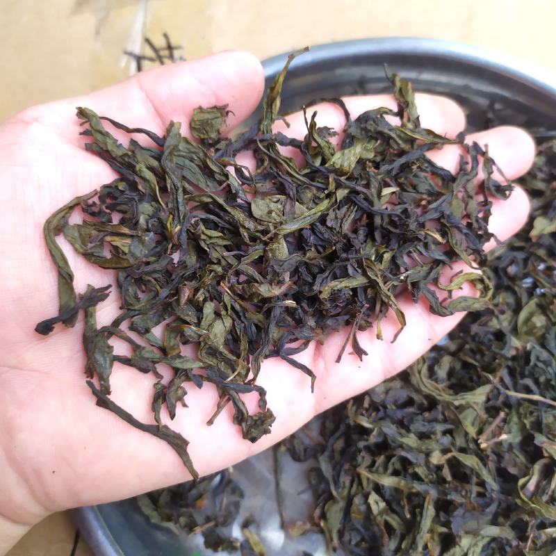 乌龙茶惠来土山茶浓醇香米香高山茶叶潮汕味道土山茶大坪1斤