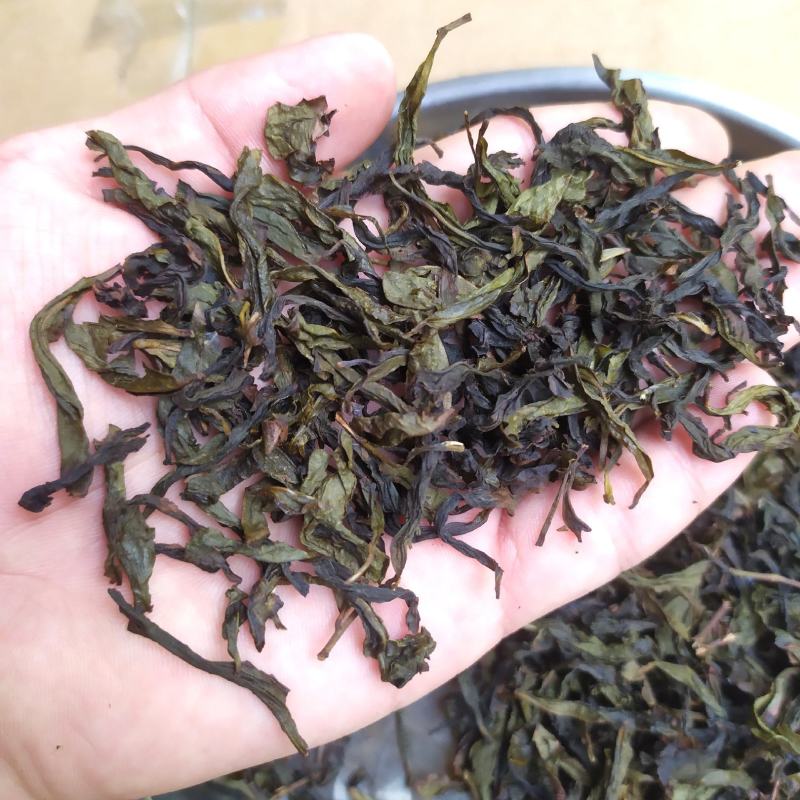乌龙茶惠来土山茶浓醇香米香高山茶叶潮汕味道土山茶大坪1斤