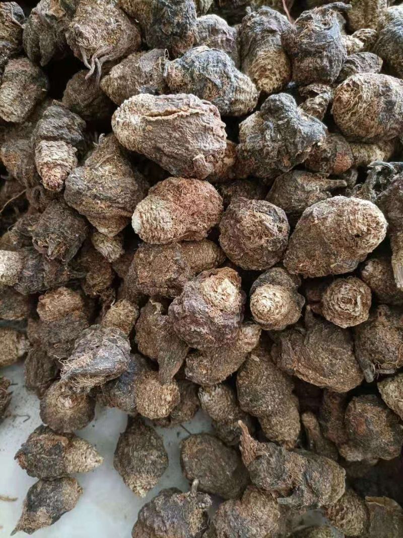 云南家种无硫黑玛咖土特产云南特产农副产品