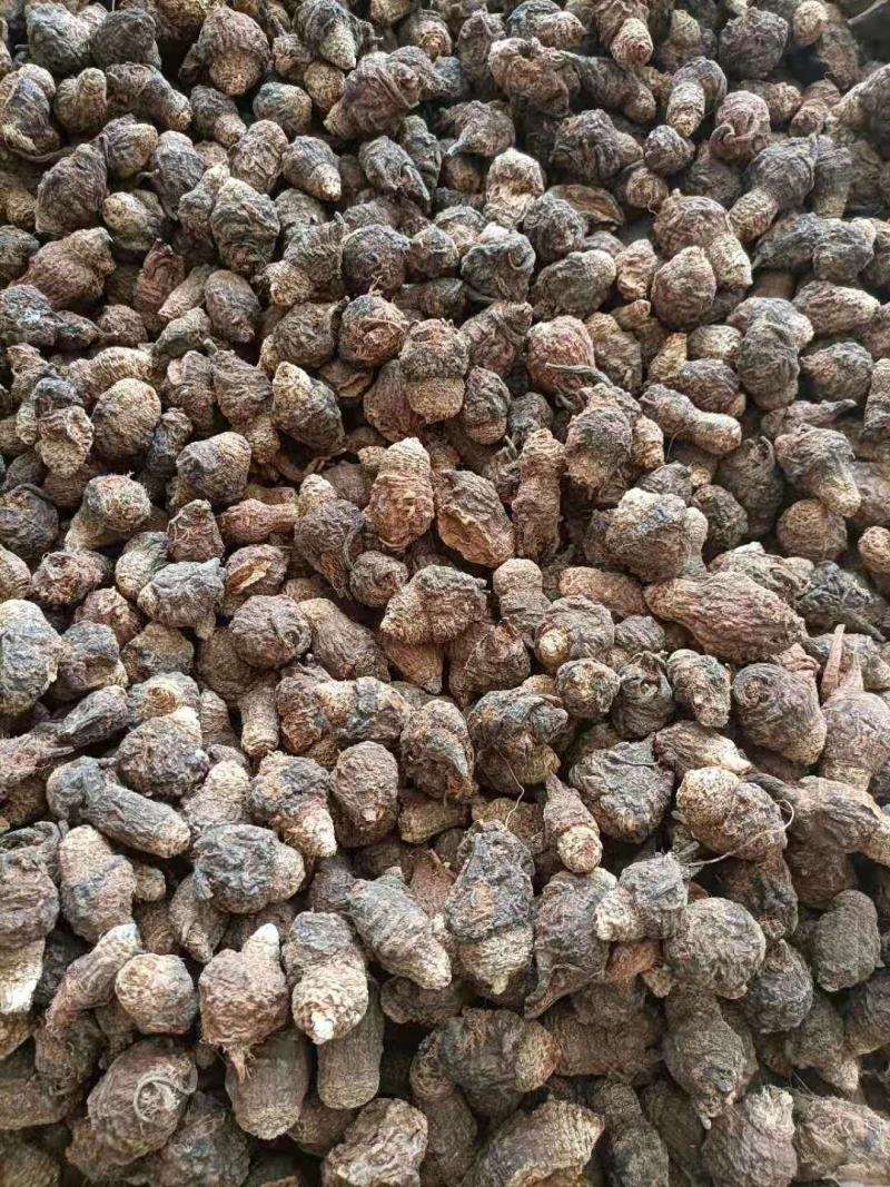 云南家种无硫黑玛咖土特产云南特产农副产品