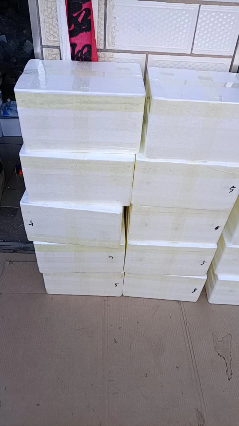 甘肃民勤特产沙葱，保鲜发货，货源稳定，现采发货