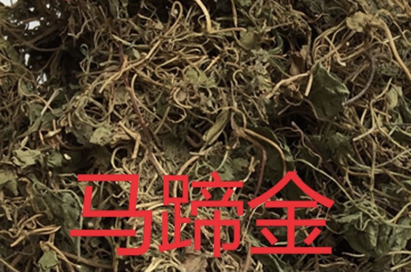 中药材马蹄金货品质量保证批发各种中药材