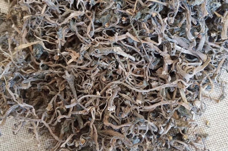 中药材马齿笕货干货品质量保证批发各种中药材