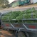 新乐市豆角8月份大量上市欢迎新老客户前来选购随到随装车