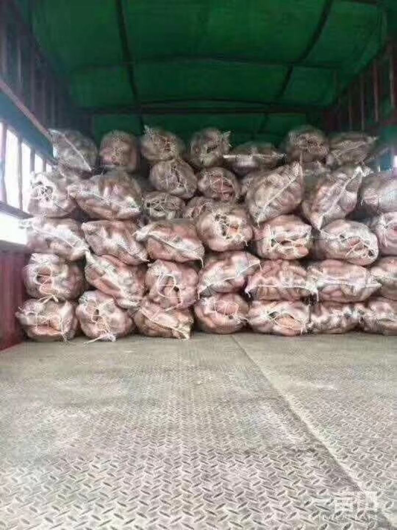 湖北龙九红薯，各种红薯大量上市，产地直发！