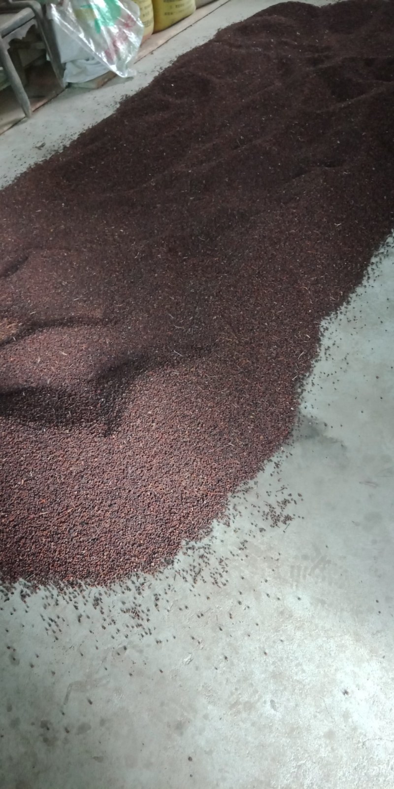 南五味子鲜货10吨后期货大量供应。