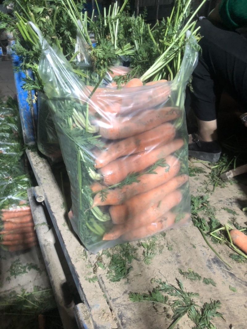 精品出口红萝卜，3到6两价格合适
