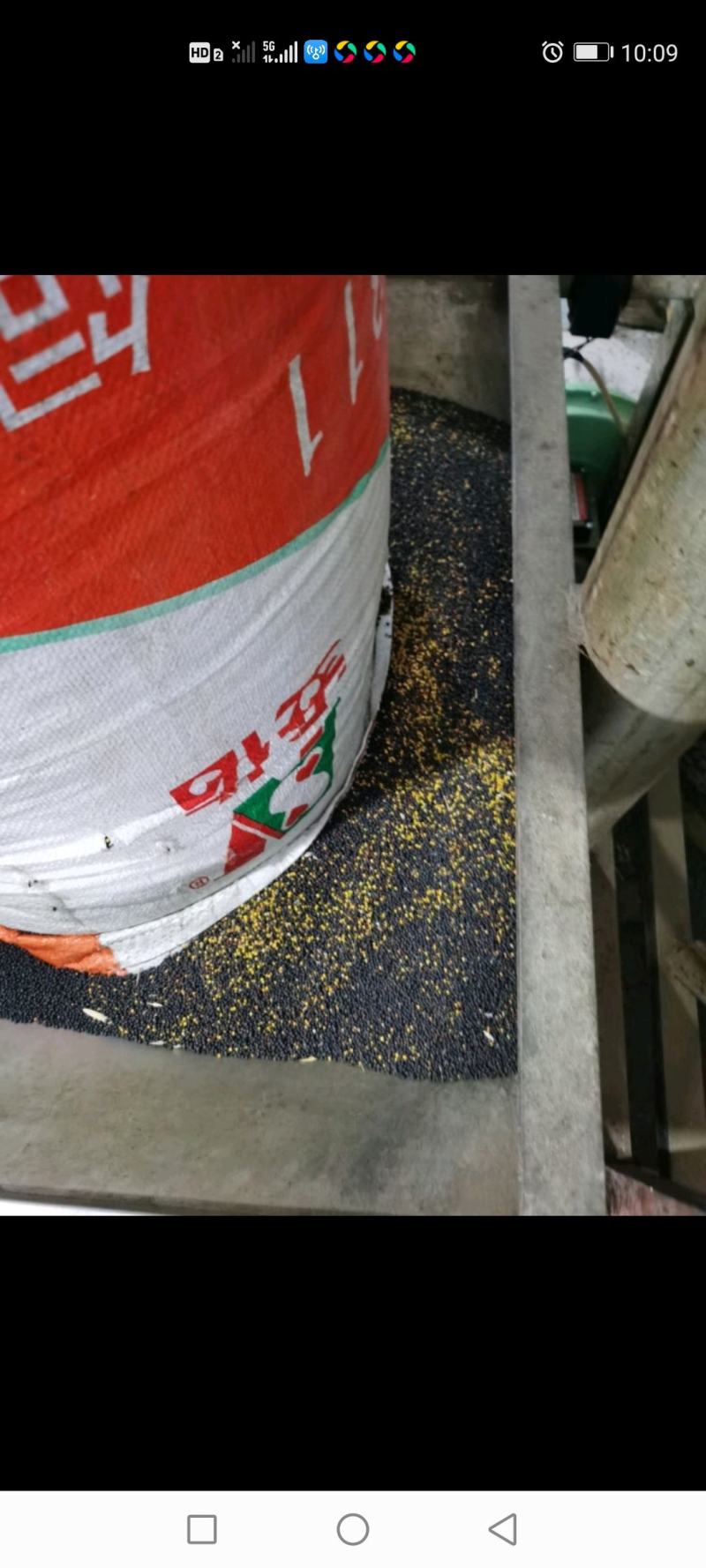 油菜籽