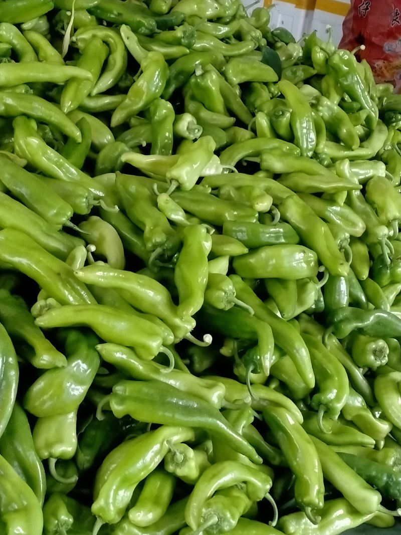 青红椒