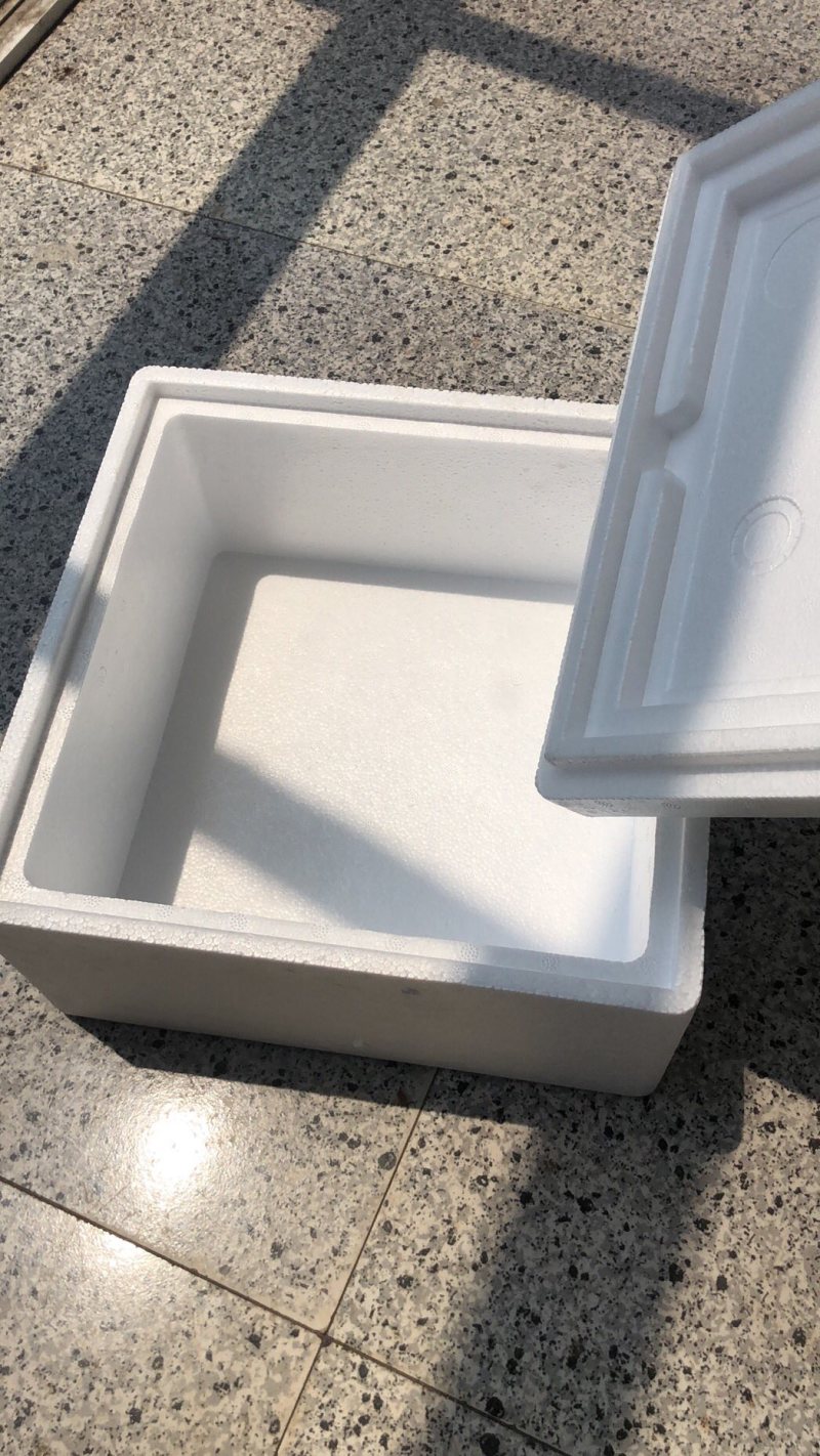 黄瓜泡沫箱