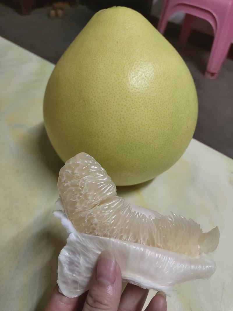 柚子