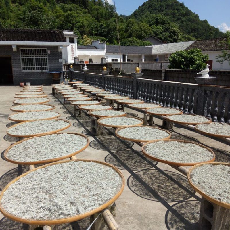 【包邮_2袋藤茶】热销湖北特产土家正品特级藤茶1袋2袋