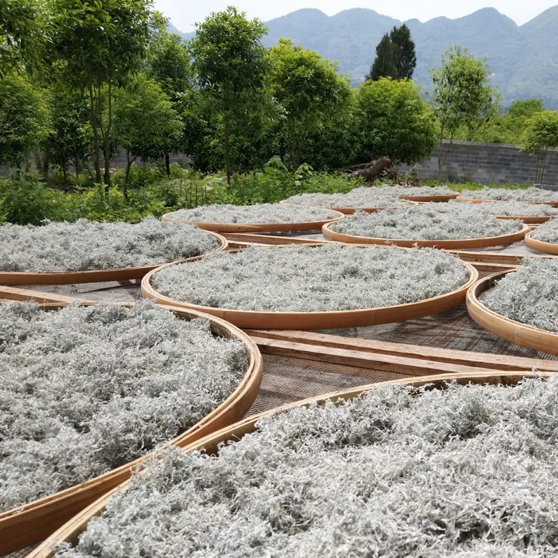 【包邮_2袋藤茶】热销湖北特产土家正品特级藤茶1袋2袋