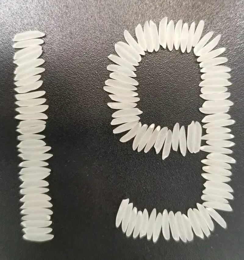 19香水稻种子