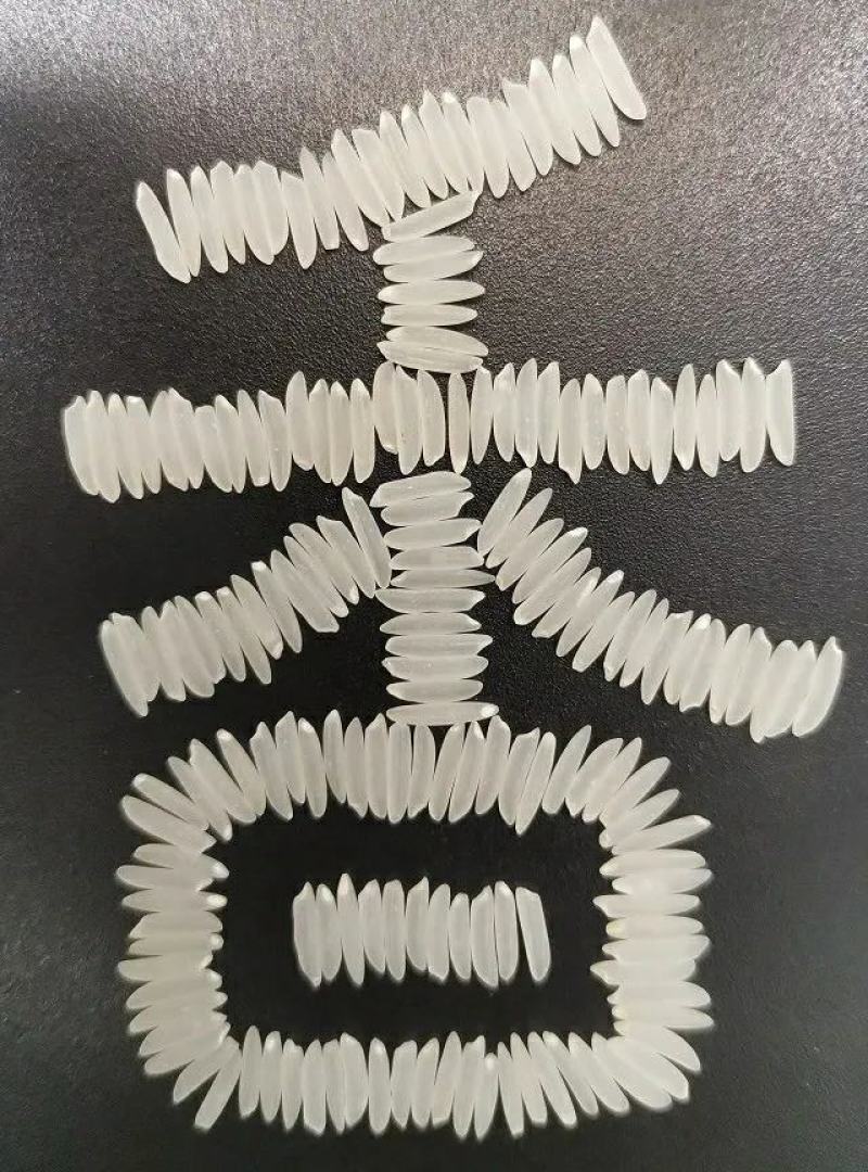 19香水稻种子