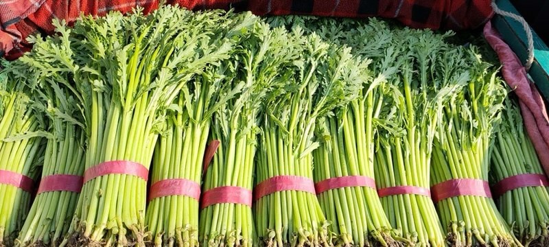 【推荐】河北小叶茼蒿一手货源供应市场商超电商量大价优