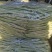 【白芸豆】辽宁九粒白芸豆大量上市对接各大市场电商