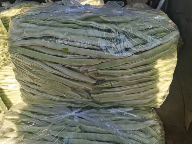 【白芸豆】辽宁九粒白芸豆大量上市对接各大市场电商