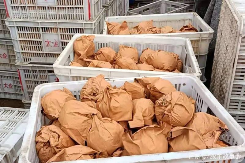 精品秋月梨一件代发产地直发商超电商平台社区团购