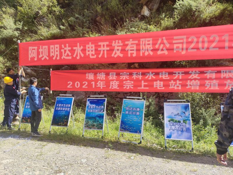 【荐】金沙鲈鲤花鱼鱼苗和成鱼体格健壮渔场批发全国供应