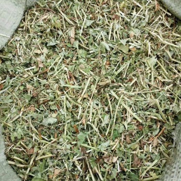 花生秧