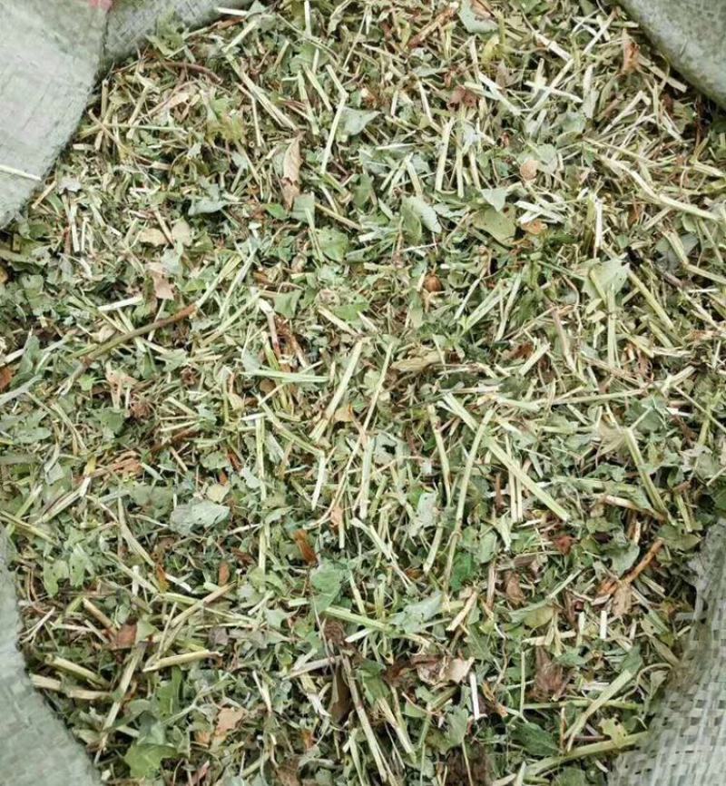 花生秧