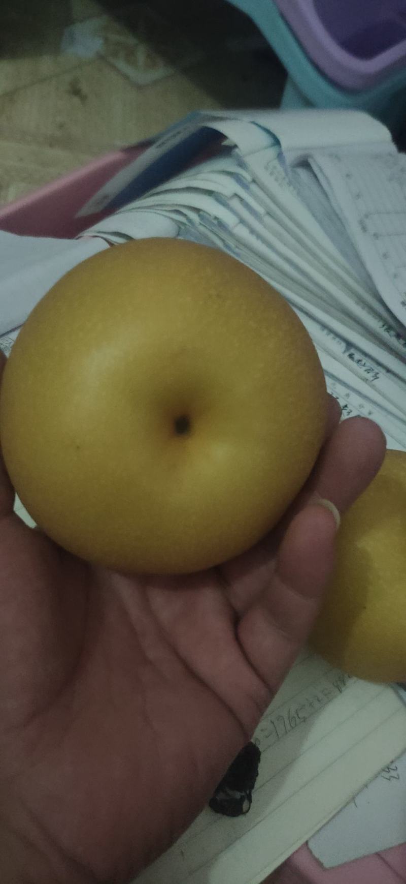 精品秋月梨一件代发产地直发商超电商平台社区团购
