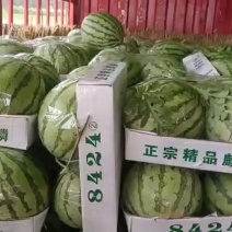 8424做生意，不拼价格，因为拼着拼着，质量就没了。做生