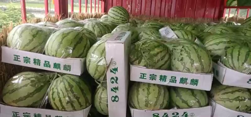8424做生意，不拼价格，因为拼着拼着，质量就没了。做生
