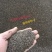 福禄考种子星花四季播种鲜花花海道路室内阳台盆栽易种