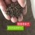 福禄考种子星花四季播种鲜花花海道路室内阳台盆栽易种