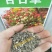 百日草花种子四季易种室外庭院阳台景观花海百日菊花种籽开花