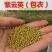 紫云英种子红花草种子养蜂蜜源高产绿肥牧草种子食用野菜种籽