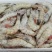 大虾