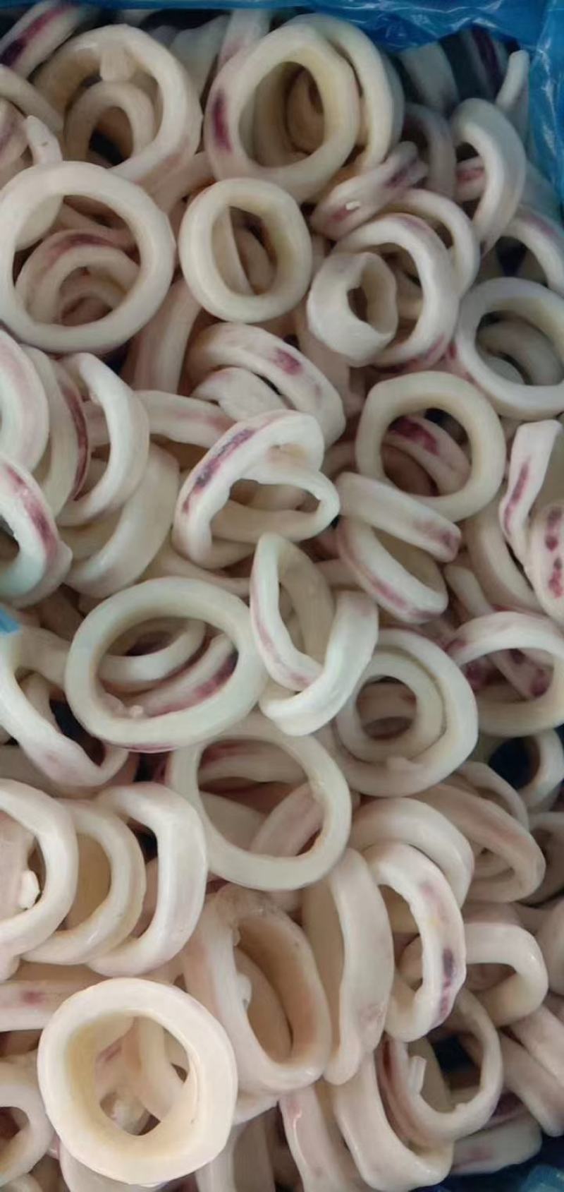 鱿鱼圈