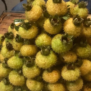 成都刺梨