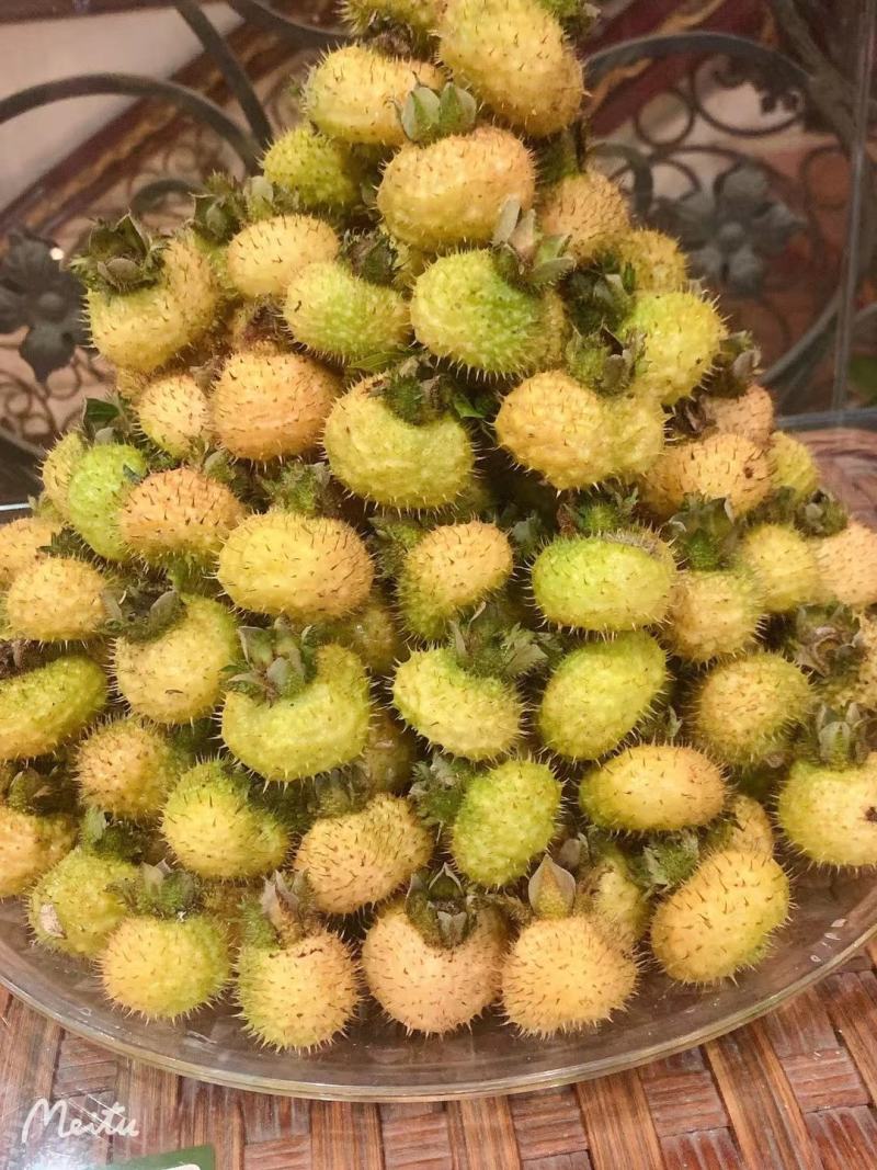 成都刺梨